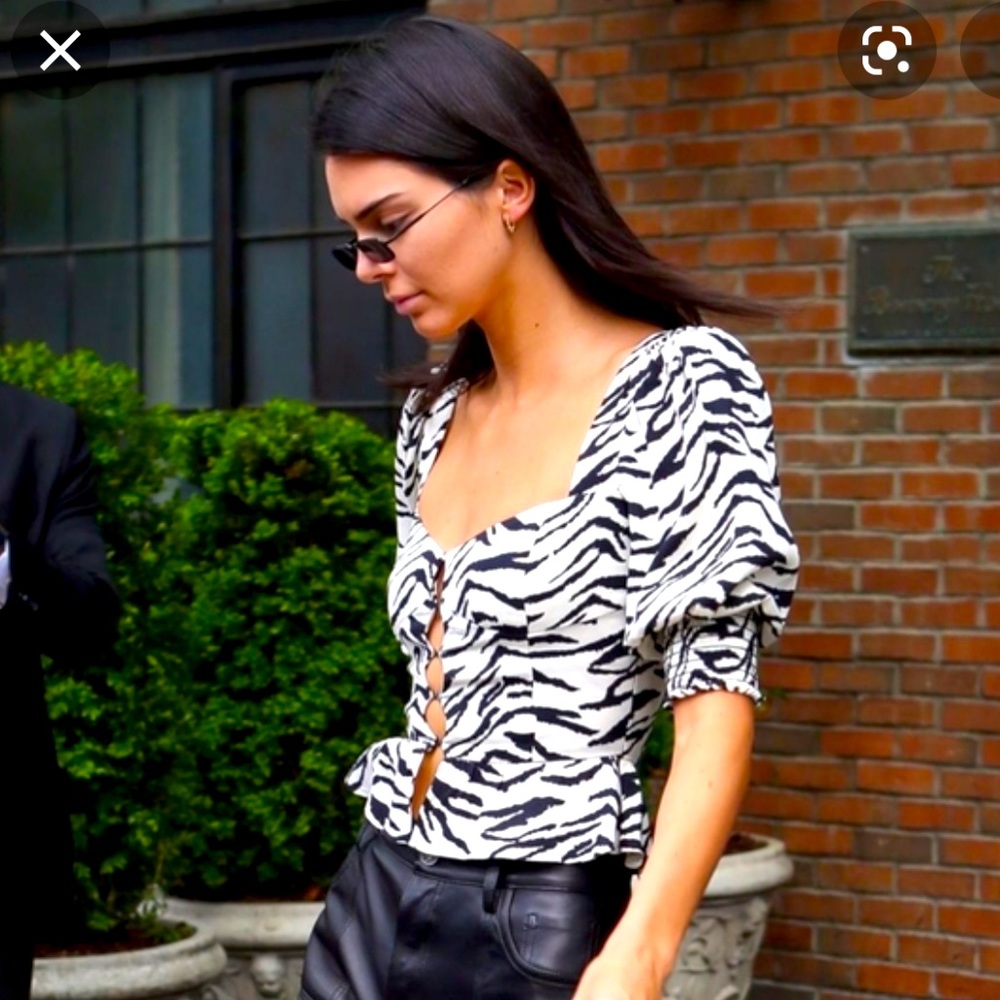 Reformation Zebra Top Sz 2